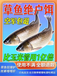 ���~�D����������~�ļ�ឲ��~���~����Сș�ڿ�ҰីC��