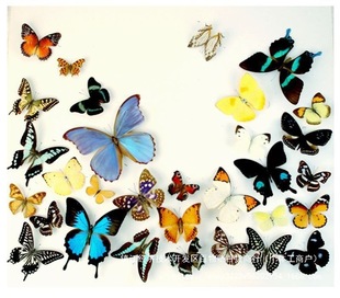 ���w��������x�˱�������ͯ�׃��@���ս̾���չ��zӰ�����OӋ1