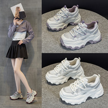 �ϵ�ЬŮ2026���ļ��¿�W�t�r�аٴ�������͸��W�����e�\��Ь