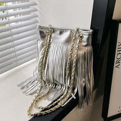 Popular niche fringe bags for women in 2024, new trendy summer chain crossbody bags, versatile single-shoulder water bucket bags