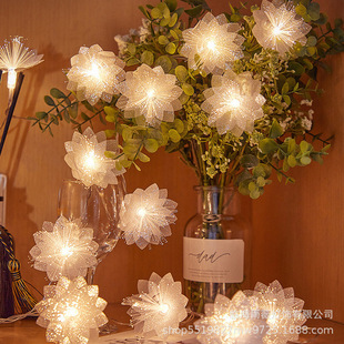 Cross-Border LED optical fiber flower light string flashing light wedding Christmas layout luminous decoration girl heart small light string