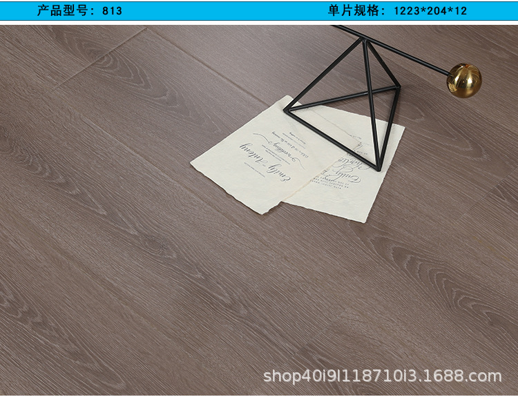 德辉29---810_08.jpg