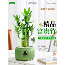 ���F�����Ը���������Gֲ��ؔ�����߲����Ĳ���͏d�������ֲ��