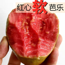 �V��ܛŴ�t�İŘ�5��ˮ����ʯ�����ܛŴ��֬�t�͘�����3