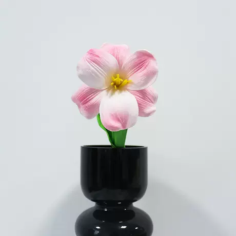 pink brownie tulip