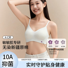 新疆0染原棉养护内衣女固定杯小胸聚拢无钢圈美背侧收副乳文胸罩