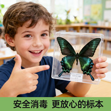 ������͸��չ���Ѻ��b���׃��@���նY���ώ��������x�˱���Ʒ��Դ