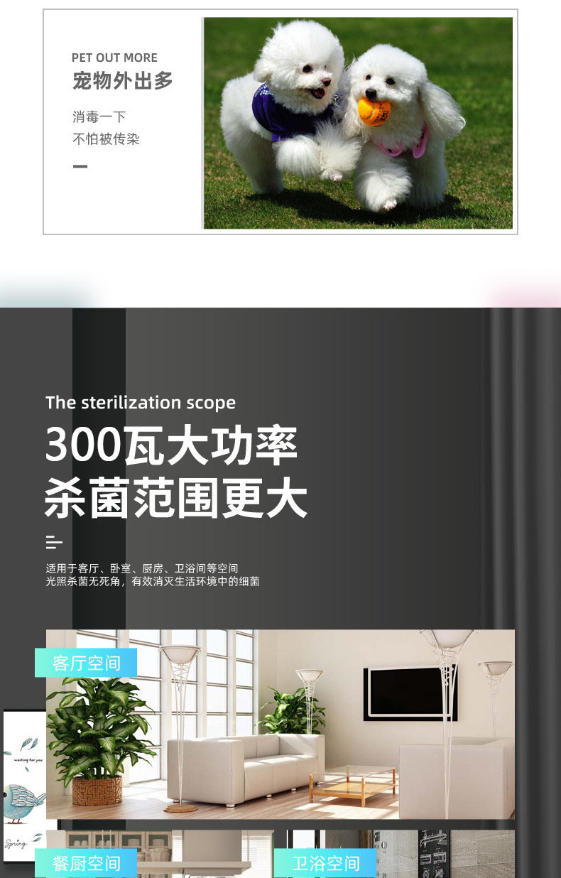 21062299082_917483578