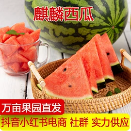 其他水果;梨;哈密瓜