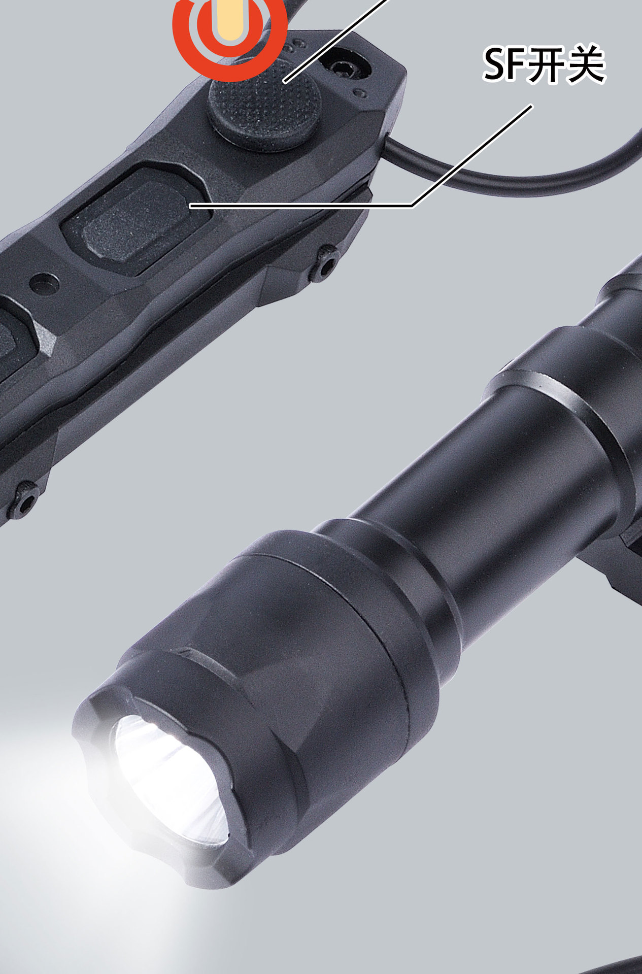 鼠尾手电长图_10