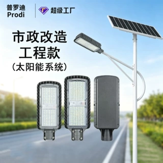 太阳能8米9米市政工程户外抗阴雨天主干道路灯MPPT
