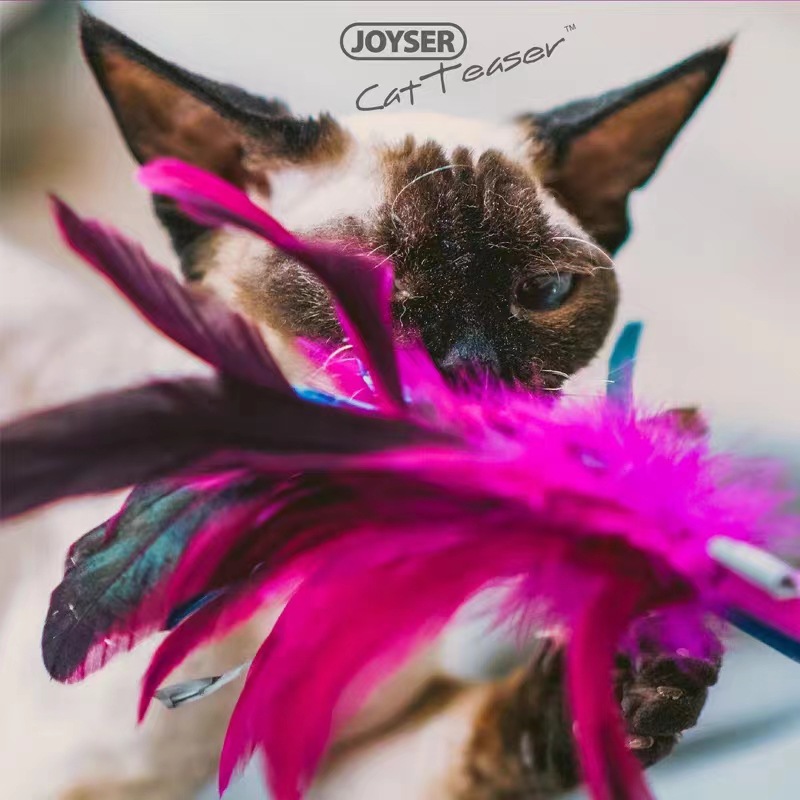 JOYSER 애완 동물 고양이 텀블러 민트 볼 깃털 재미있는 고양이 스틱 재미있는 고양이 장난감 교체 가능한 깃털