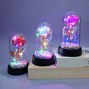 �羳�ʽ�õ�廨���������ֽ̎�ĸ�H����Ϧ���˹��Y���b[�����l