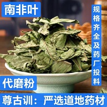 中药材 南非叶 干叶茶 将军叶 苦胆叶 杏叶斑鸠菊 尖尾凤干叶南叶