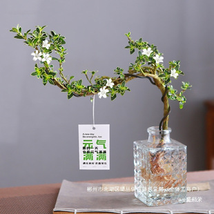 �S��ֱ�N����ѩ����ˮ�����������辰�k���҃����[���B�^�~ֲ���