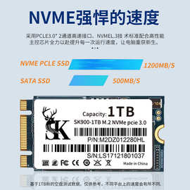 适用SK M.2 2242 NVME PCIE 固态硬盘笔记本审计SSD 256G512G1TB
