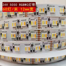 24V智能调光RGBWC七彩RGBWW多彩60灯五合一贴片SMD氛围彩色灯带