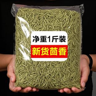 �����ء�С�����������{��������۷N�������u���u��˽ǽM�ϰl