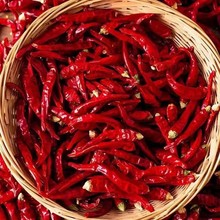 ��؛����С�׽����������l������΢���t�������γ��콷