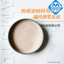 �y�~�Ͻ�� AgCu ���F�� ��ĥ�ܷ�T�� �T���� �~�� �y�� �y����