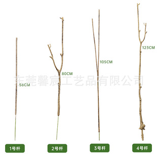 ����Gֲ�ٺ����^ ����ٺ����ֲ֦���b�����[�����Ͱ�׃