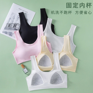 Girls Students Fixed Cup Underwear Junior High School Students Developmental High School Students 12-18 Years Old Cotton Girls Strapless Chest Wrapping