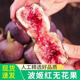 块茎类;其他水果;梨