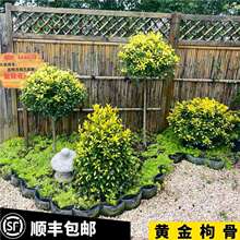 S۹ǪM~ೣGľͥԺ~^~Rֲͺ͟