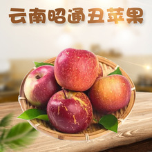 云南昭通冰糖心丑苹果 代发3/9斤当季脆甜红苹果新鲜孕妇水果