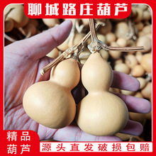 ��Ȼ���J ������J�ֶպ��J�������J���Ѻ��J���J���lԴ�^ֱ��