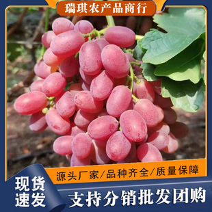 �o�Ѽt��˂�����������5��������rˮ�������������ЋDС��ˮ��