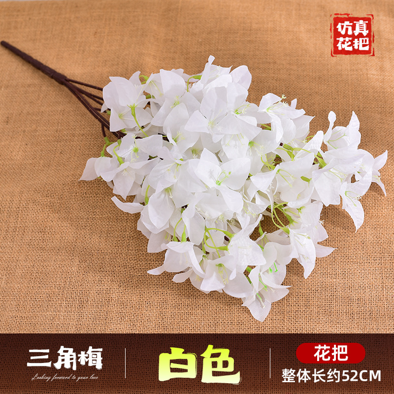 다섯 갈래 부겐빌레아 - 흰색