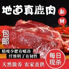 鹿肉新鲜梅花生鲜原切梅花鹿腿肉不调理原切无注水不带皮腿肉代发