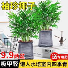 ����Ҭ������ˮ��Gֲ�Pβ���FҬ�ӿ͏d�k���ļ�������B��ֲ��