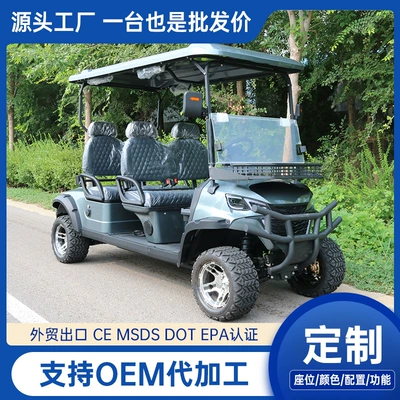 Area Sightseeing Vehicle, Elektrikli qolf avtomobilləri