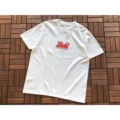 B364 Little Devil White
