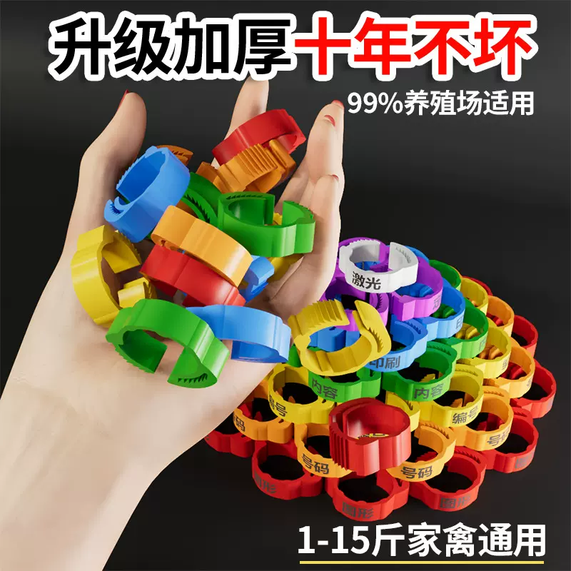家禽类脚环鸡脚环卡扣式鸡用脚环脚圈信鸽子脚圈记号识别环鸡鸭鹅