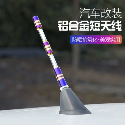 vehicle antenna: antenna roof universal installation