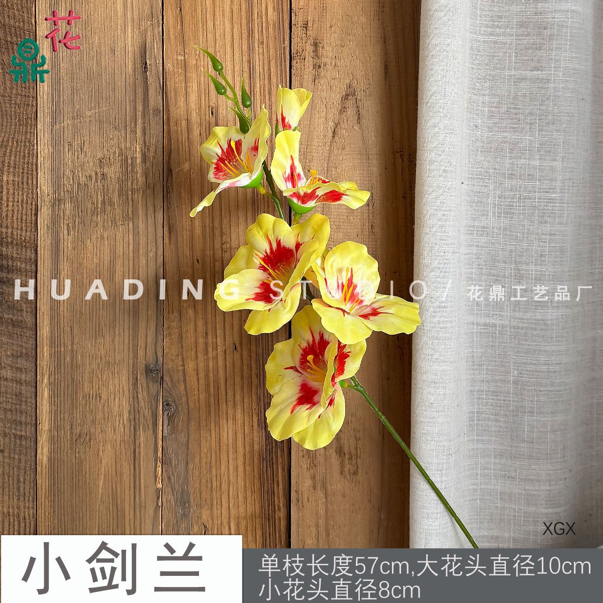 Gladiolus nhỏ XGX lõi đỏ vàng