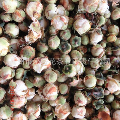 Camellia bulk Snow Lotus scented tea Chinese herbal medicines Camellia Camellia Make tea Herbal tea