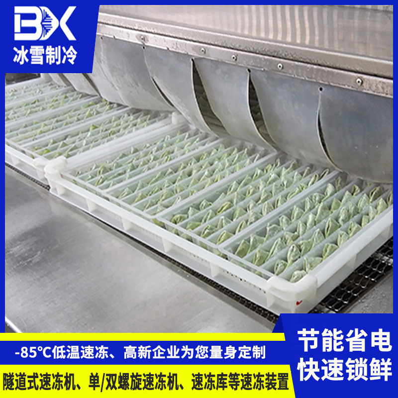 冰雪隧道式网带速冻机 500KG海产品连续式速冻机 可分期付款急冻