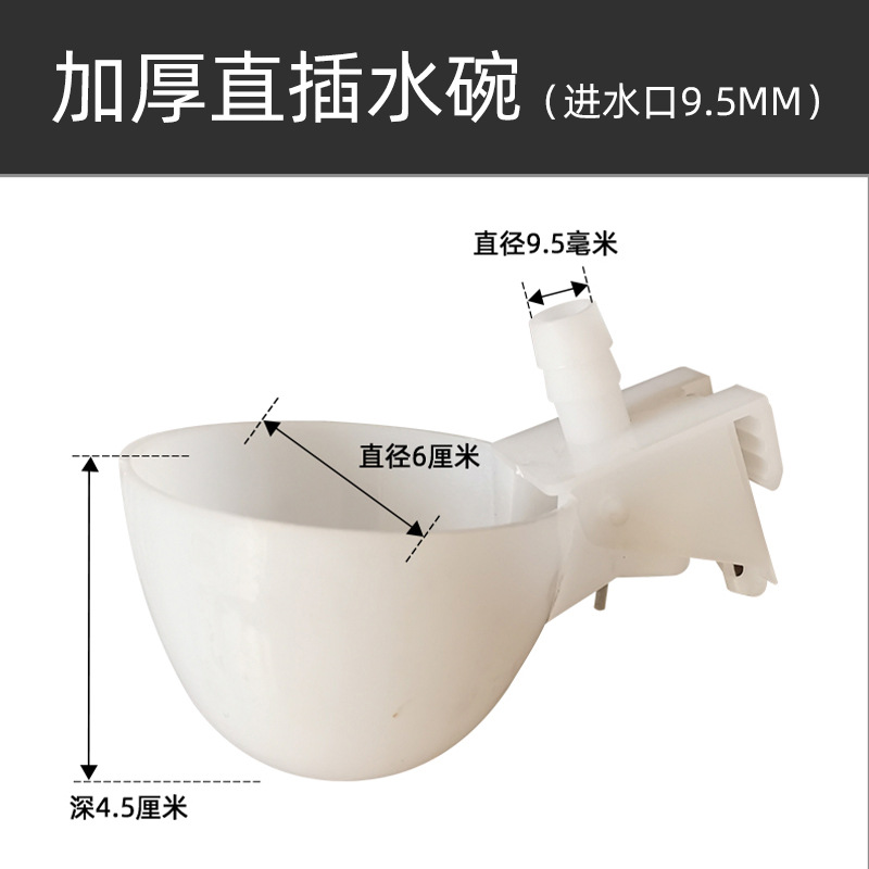 Tazón de agua de la paloma bebedor automático Loro Bird bebedor automático paloma caja de comida caja colgante bebedero