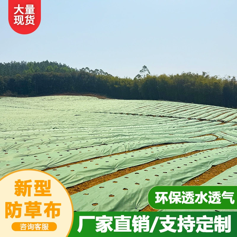 Трансграничная сельскохозяйственная ткань для сада Amazon, защищающая от сорняков, водопроницаемая и увлажняющая ткань для подавления сорняков, ткань для прополки чая, сельскохозяйственный нетканый материал