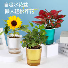 �G�}�����❲ˮ����ˮ͸��ˮ�����Ϙ�֬���û���²���ˮ������