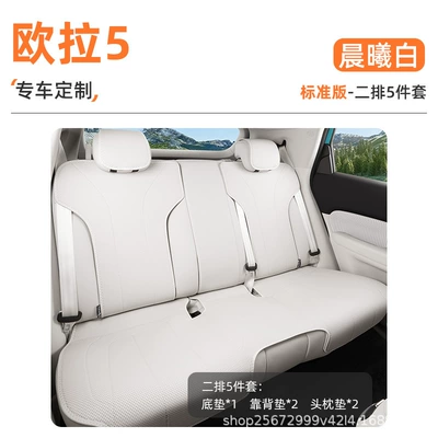 Seat cushion, seat cover cushion, 26 models, special all-season - dawn-white5-piece-set-rear-seat-cushion-backrest-cushion-headrest-cushion-euler-5