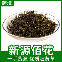 批发四川古蔺赶黄草泡水花草茶散装新货中药材扯根菜山黄鳝水泽兰