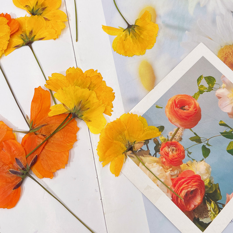 微信图片_20220919171238