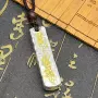 车载转运颈链