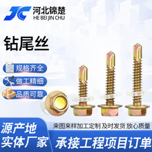 ��������5.5�����β�z���m�Թ��ݽz�ݼy��˨�����β����ߎ���