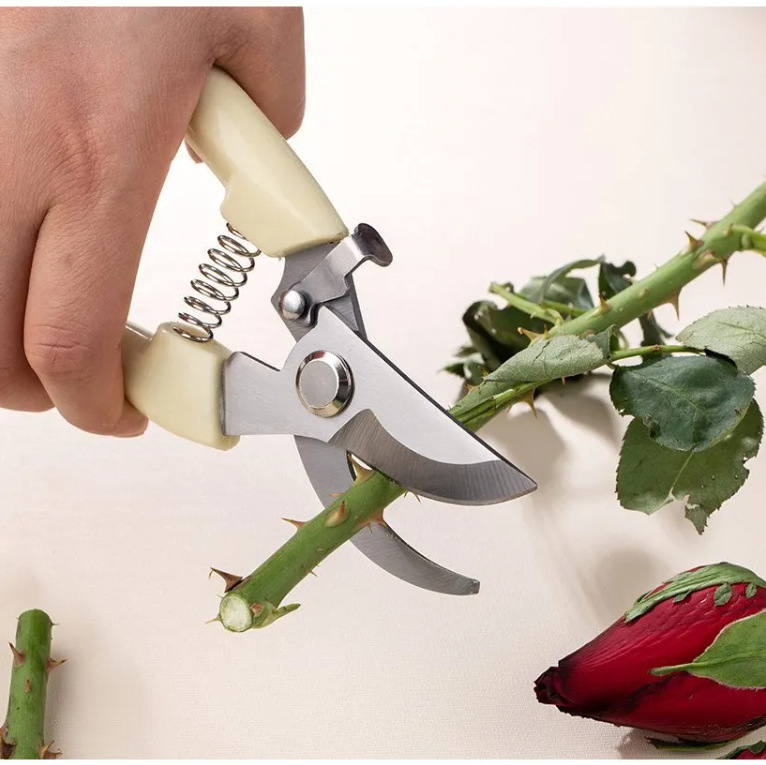 高效省时省力园艺修枝剪 家用摘果剪刀 专业摘花果树修剪工具